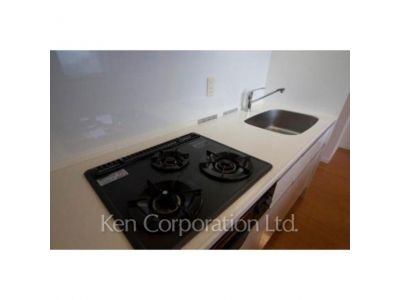 パークアクシス青山骨董通りの写真 キッチン ※写真・画像は実際と異なる場合がございます。部屋写真は同一タイプのものです。（ただし、画像中にタイプ名の記載がある場合はその記載内容を優先します。）