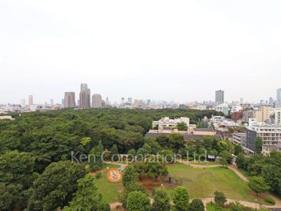 ParkAxis白金台の写真 眺望