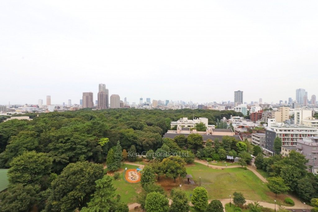 ParkAxis白金台の写真 眺望