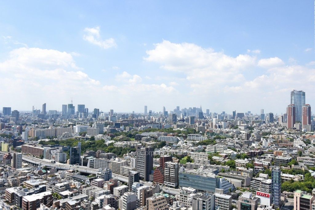 白金タワーの写真 眺望（居室から）