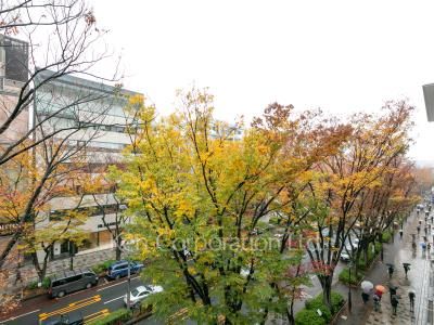 表参道ヒルズゼルコバテラスの写真 眺望（居室から）