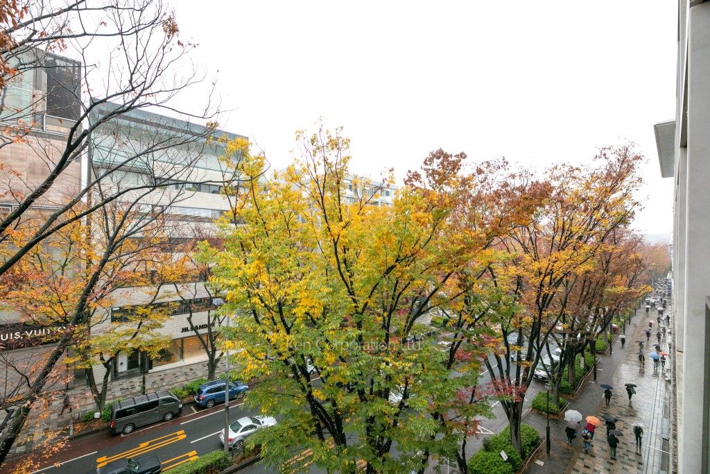 表参道ヒルズゼルコバテラスの写真 眺望（居室から）