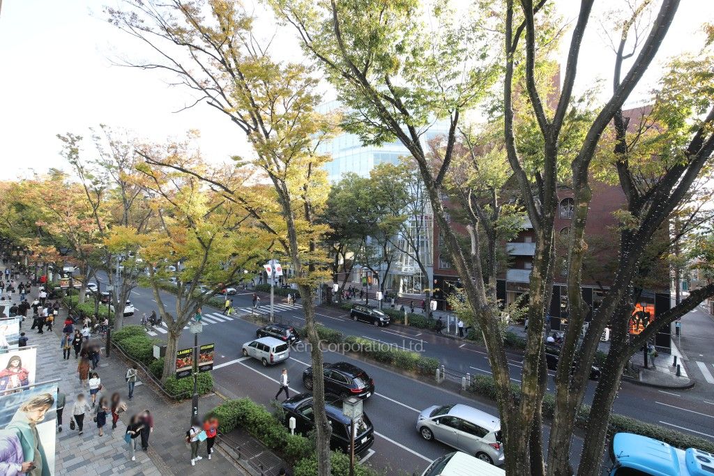 表参道ヒルズゼルコバテラスの写真 眺望（居室から）