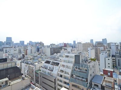 カスタリア東日本橋の写真 眺望