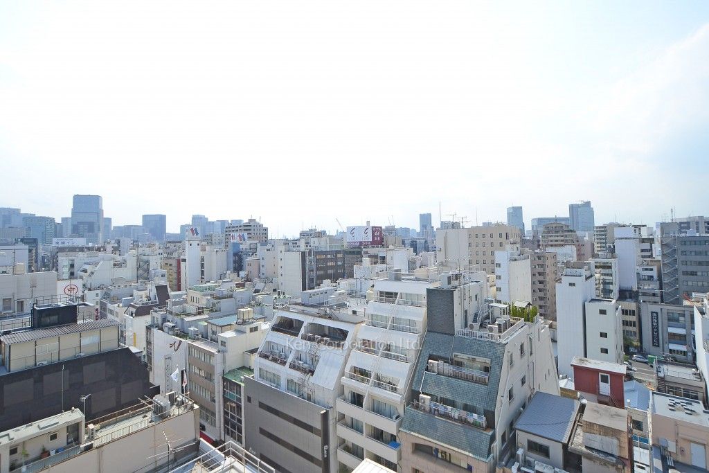 カスタリア東日本橋の写真 眺望