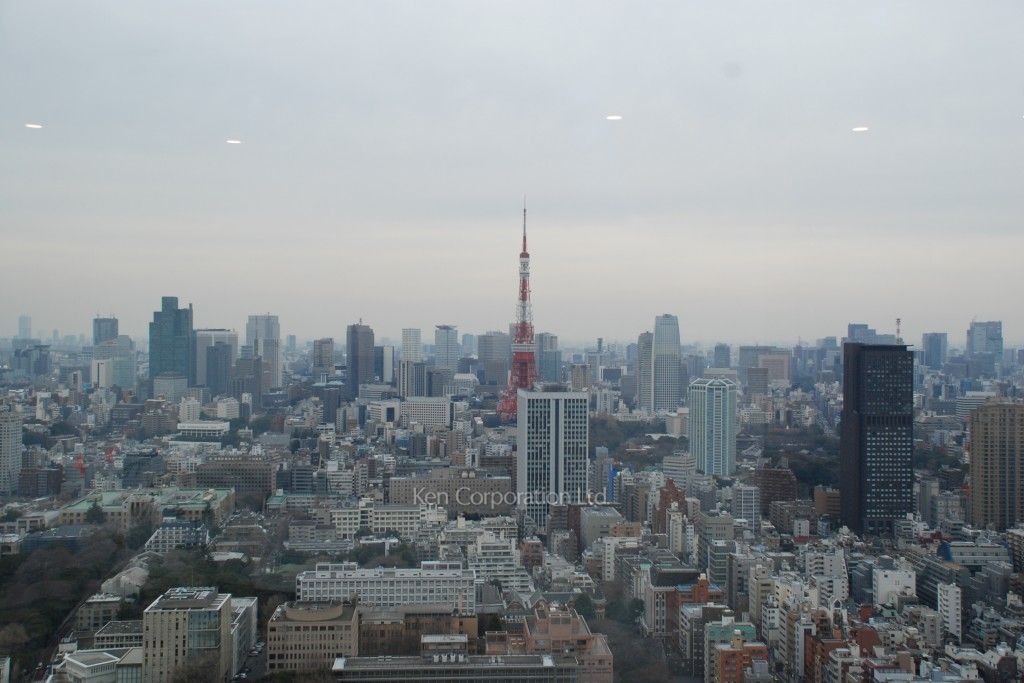 ラ・トゥール三田の写真 眺望