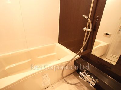 アパートメンツ元麻布内田坂の写真 バスルーム