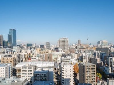 リエトコート アルクスタワーの写真 眺望（居室から）