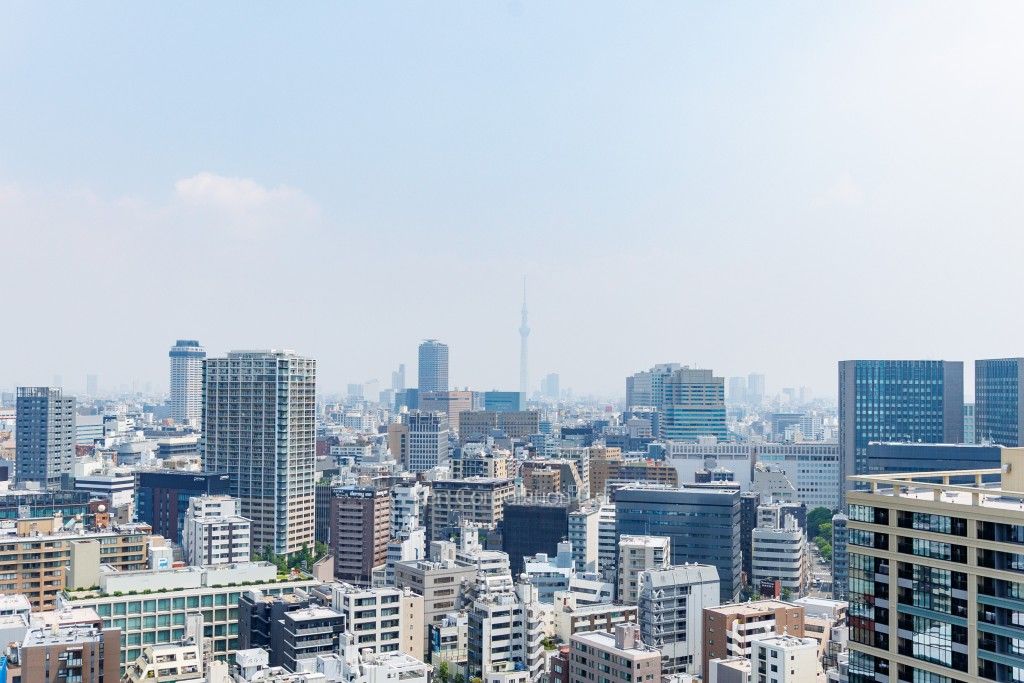 リエトコート アルクスタワーの写真 眺望（居室から）