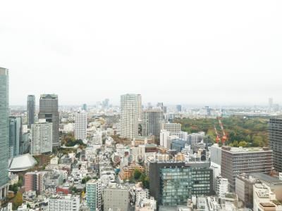 プルデンシャルタワーレジデンスの写真 眺望（居室から）