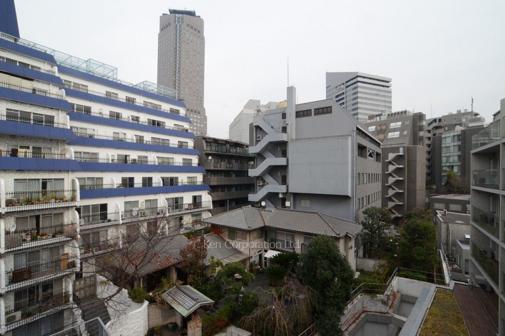 カスタリア渋谷櫻丘の写真 眺望（居室から）