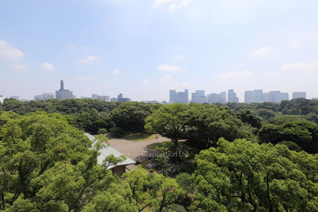 千鳥ヶ淵ハウスの写真 眺望（居室から）