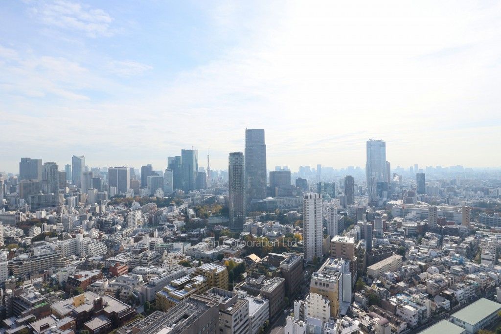 パークアクシス青山一丁目タワーの写真 眺望