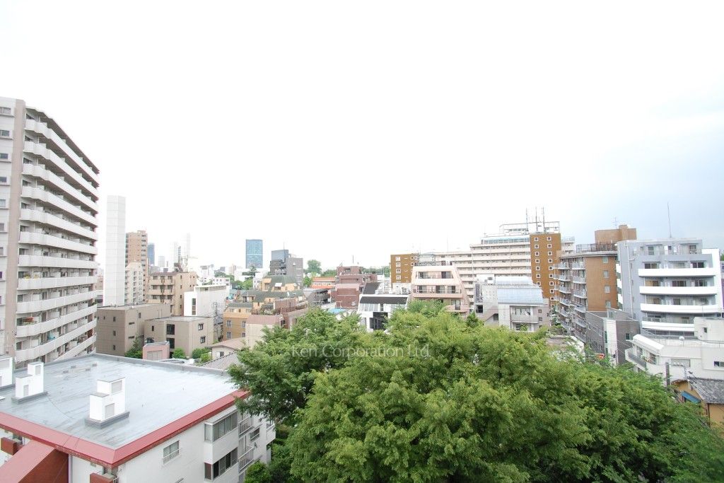 パークキューブ代々木富ヶ谷の写真 眺望（居室から）