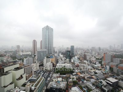 東京ミッドタウン・レジデンシィズの写真 眺望