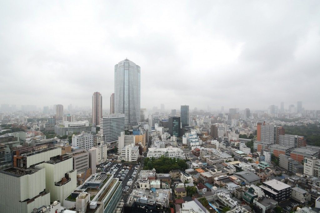 東京ミッドタウン・レジデンシィズの写真 眺望