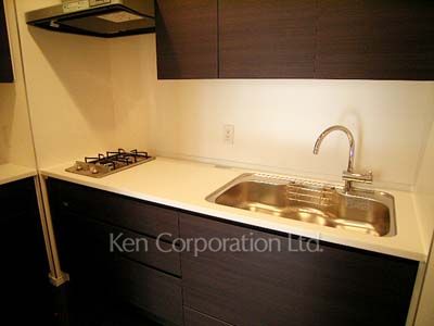 LaSante麻布十番の写真 キッチン ※4階の同じ間取タイプを撮影。仕様が異なることがあります。