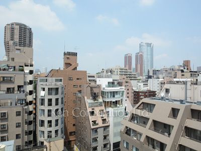 LaSante麻布十番の写真 眺望