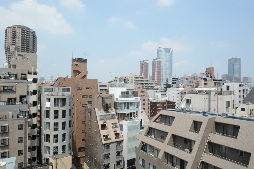 LaSante麻布十番の写真 眺望