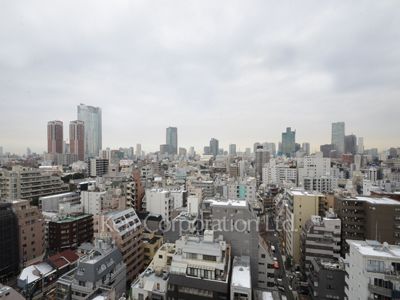 LaSante麻布十番の写真 眺望（居室から）