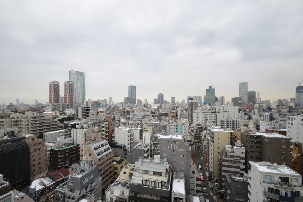 LaSante麻布十番の写真 眺望（居室から）