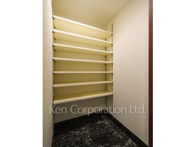 THE TOKYO TOWERS(賃貸専用部分)の写真 シューズインクローゼット