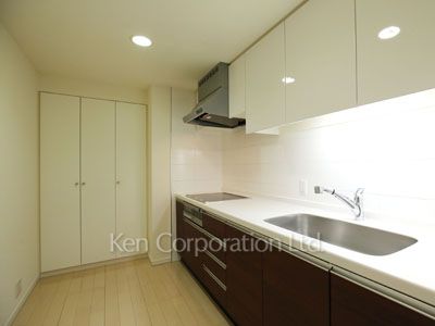 THE TOKYO TOWERS(賃貸専用部分)の写真 キッチン