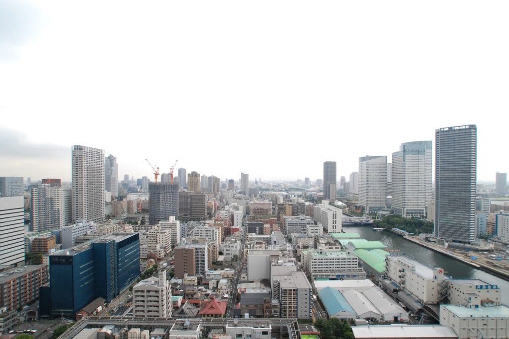 THE TOKYO TOWERS(賃貸専用部分)の写真 眺望（居室から）