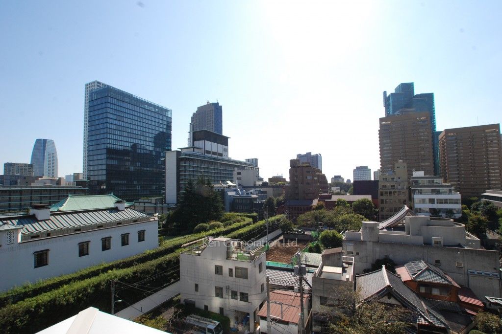 フォレセーヌ霊南坂レジデンスの写真 眺望