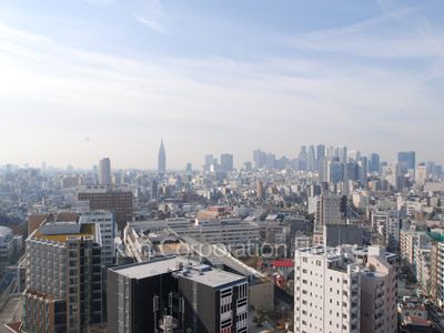 プライムアーバン新宿夏目坂タワーレジデンスの写真 眺望（居室から）