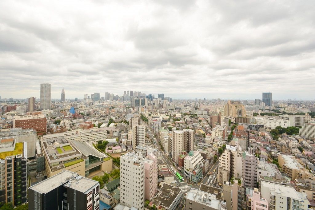 プライムアーバン新宿夏目坂タワーレジデンスの写真 眺望