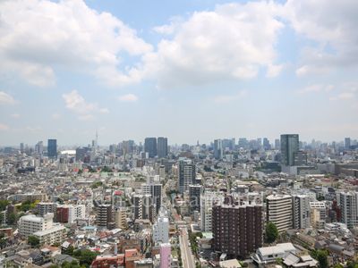 プライムアーバン新宿夏目坂タワーレジデンスの写真 眺望