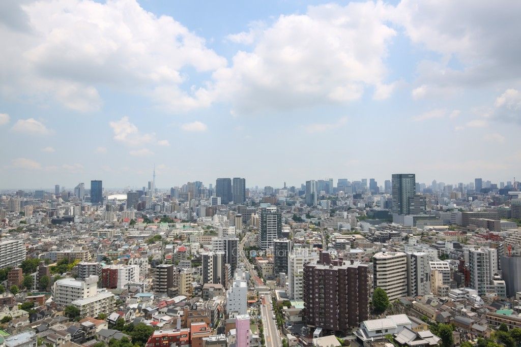 プライムアーバン新宿夏目坂タワーレジデンスの写真 眺望