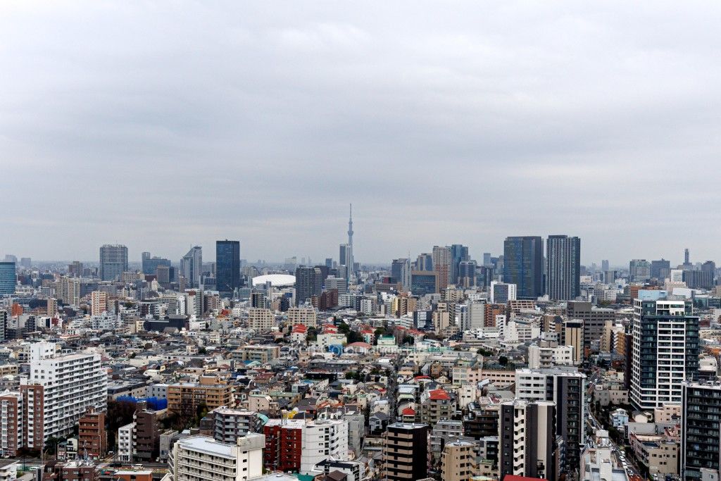 プライムアーバン新宿夏目坂タワーレジデンスの写真 眺望（居室から）