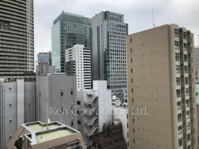 White Tower Hamamatsuchoの写真 眺望（居室から）