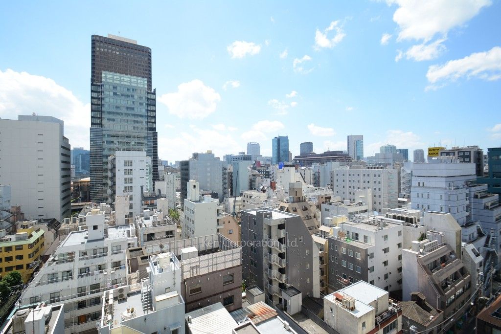 White Tower Hamamatsuchoの写真 眺望（居室から）