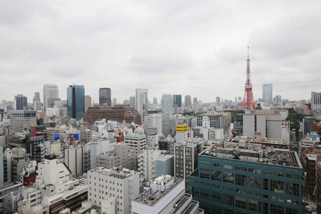 White Tower Hamamatsuchoの写真 眺望