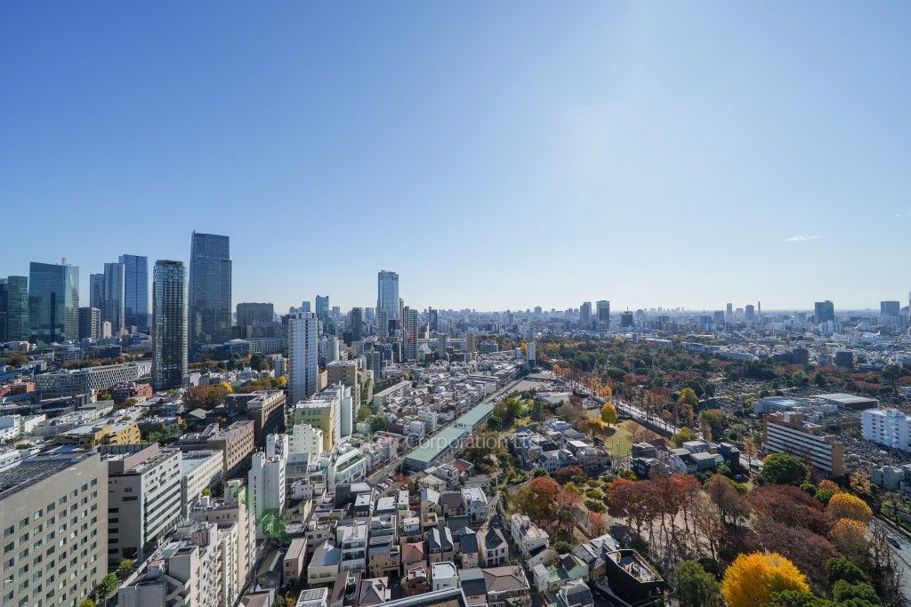 パークアクシス青山一丁目タワーの写真 眺望（居室から）