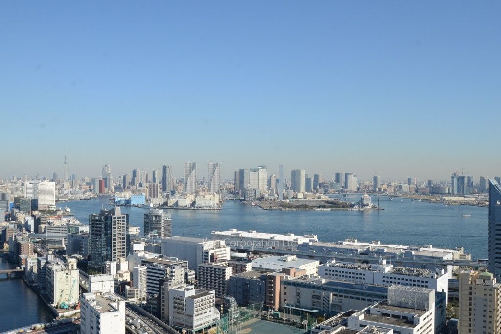 芝浦アイランド ブルームタワーの写真 眺望（居室から）
