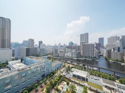 芝浦アイランド ブルームタワーの写真 眺望（居室から）
