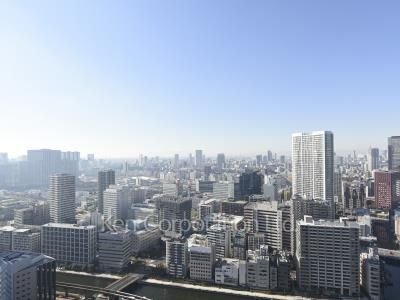 芝浦アイランド ブルームタワーの写真 眺望（居室から）