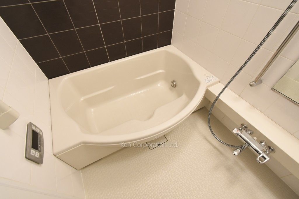 芝浦アイランド ブルームタワーの写真 バスルーム