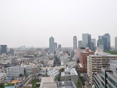 プラティーヌ新宿新都心の写真 眺望