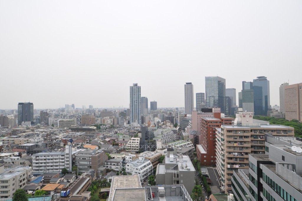 プラティーヌ新宿新都心の写真 眺望