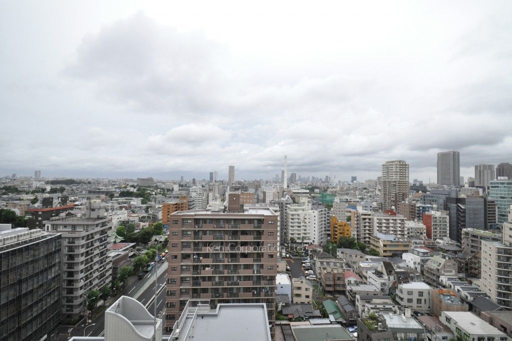 トレステージ目黒の写真 眺望