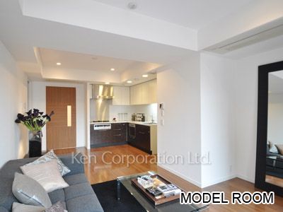 アルティスコート南青山の写真 リビングダイニング