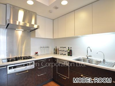 アルティスコート南青山の写真 キッチン