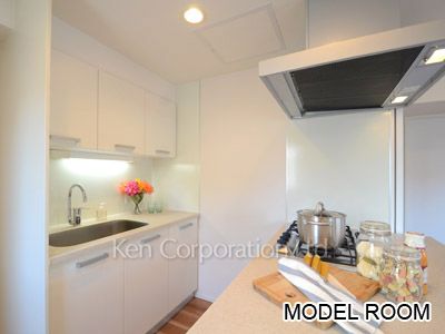 オーパスレジデンス恵比寿の写真 キッチン