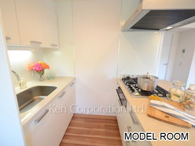 オーパスレジデンス恵比寿の写真 キッチン