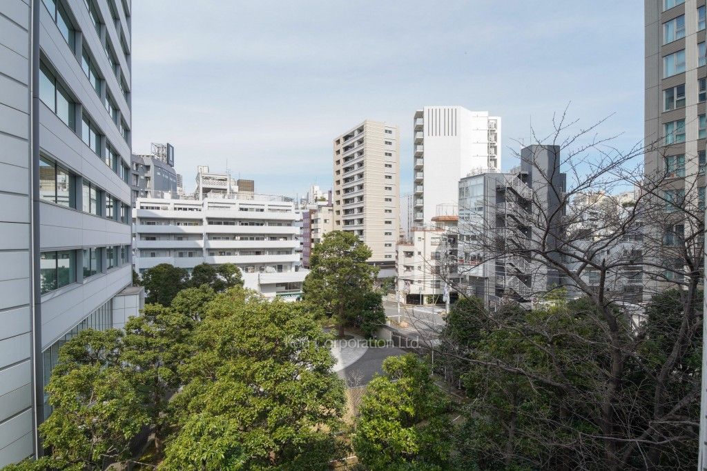 オーパスレジデンス恵比寿の写真 眺望（居室から）